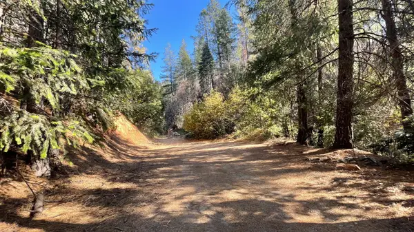 0 Yuletide Way, Georgetown, CA 95634