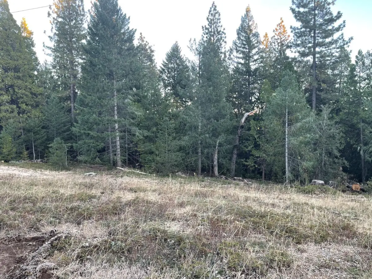 0 Culberson Road, Alta, CA 95701 - Image #1