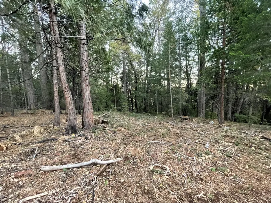 0 Culberson Road, Alta, CA 95701 - Image #2