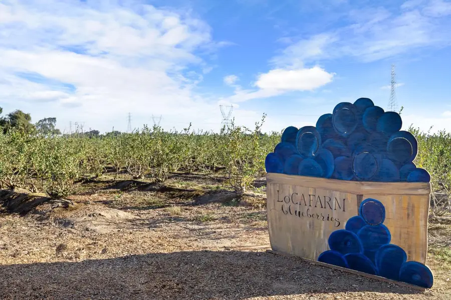 5288 W Kile Road, Lodi, CA 95242 - Image #3