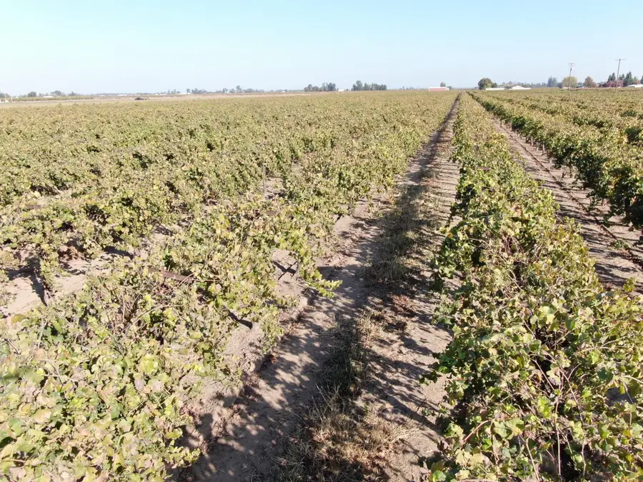 0 N Sycamore Street, Acampo, CA 95220 - Image #3