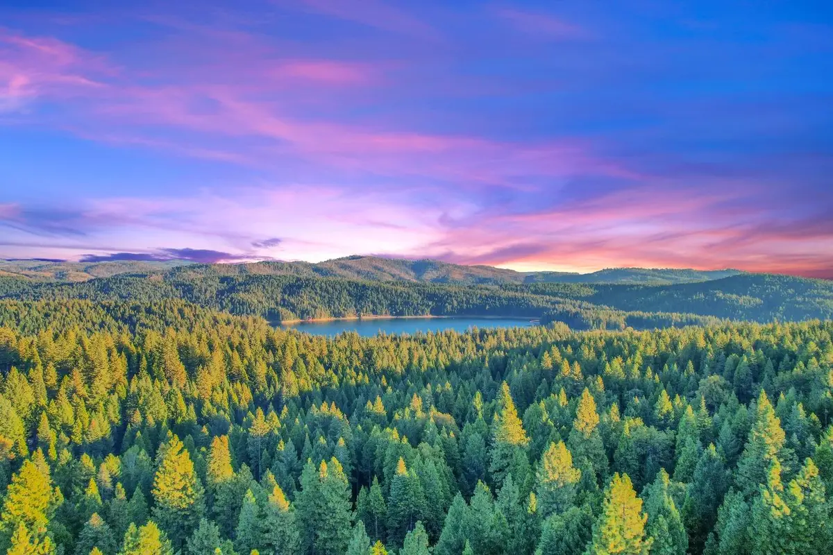 0 4440 Sly Park Rd, Pollock Pines, CA 95726 - Image #1