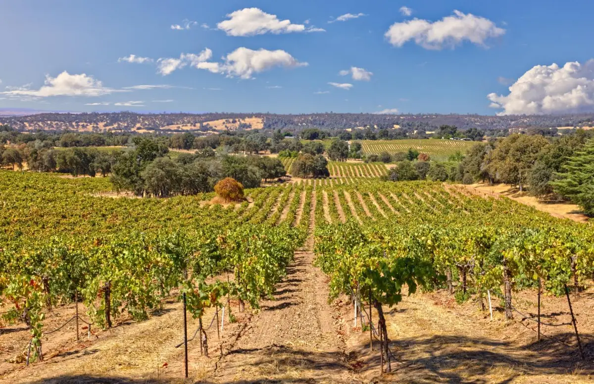 0 Shenandoah School Road, Plymouth, CA 95669 - Image #1