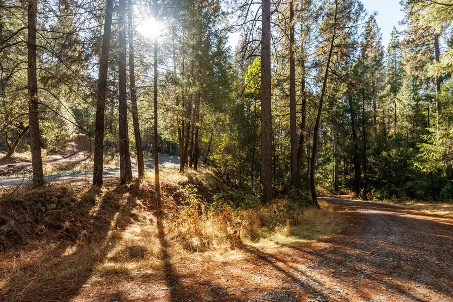 4261 Glory Hole Drive, Camino, CA 95709 - Image #2