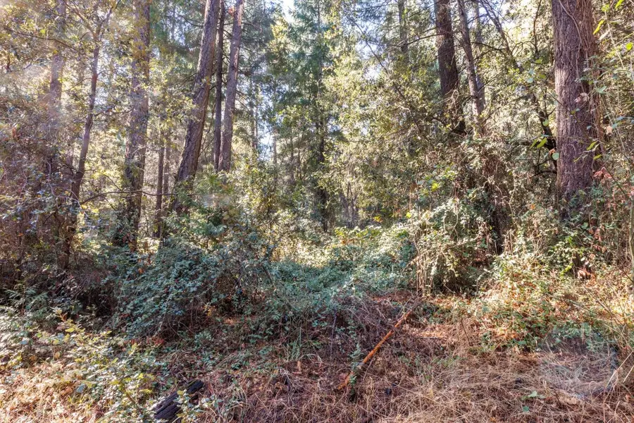 20 Glory Hole Drive, Camino, CA 95709 - Image #3