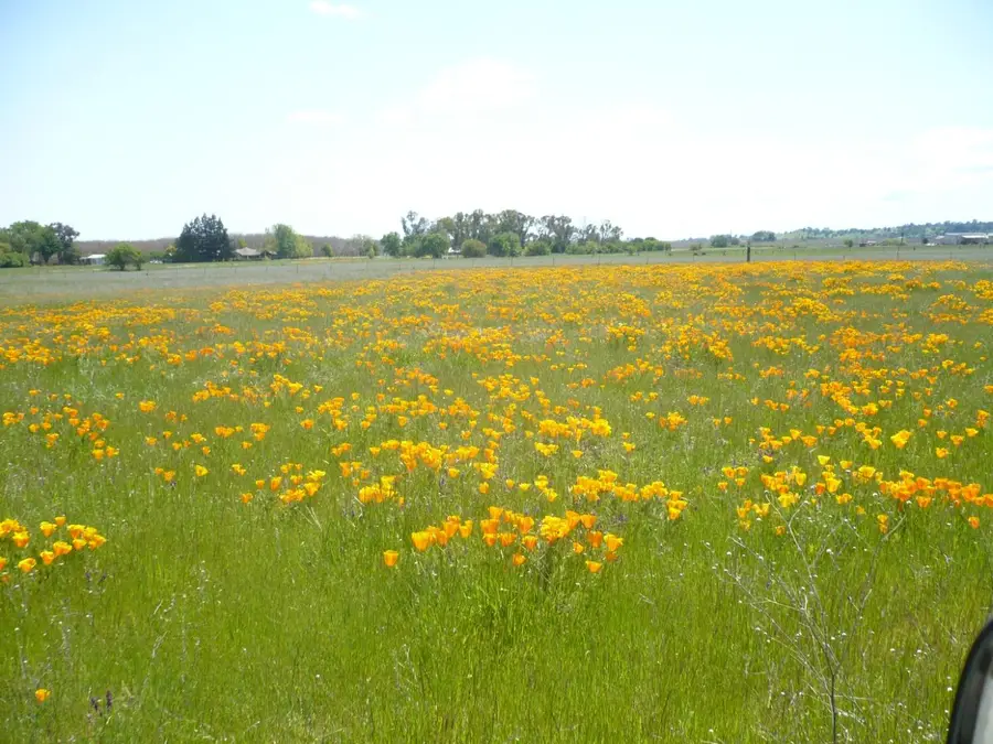 0 Cr 87, Winters, CA 95694 - Image #2