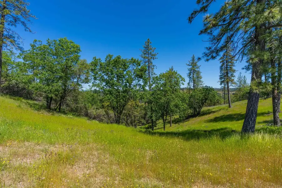 12377 Twin Pines Rd, Sutter Creek, CA 95685 - Image #2