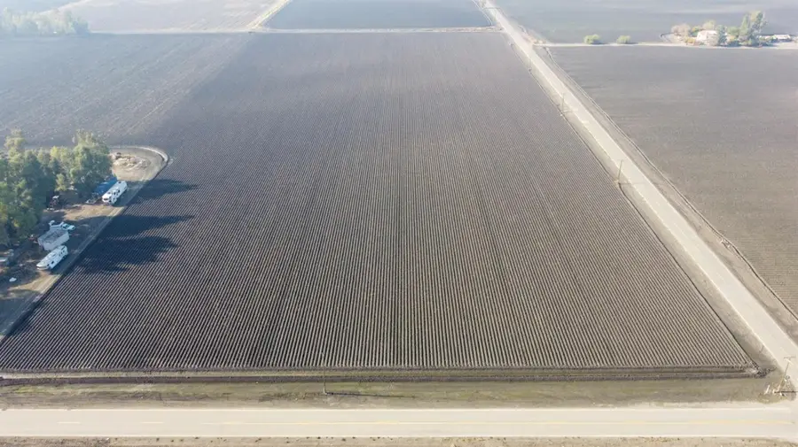 0 Reynolds, Dos Palos, CA 93620 - Image #2