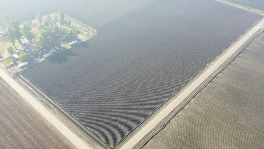 0 Reynolds, Dos Palos, CA 93620 - Image #3