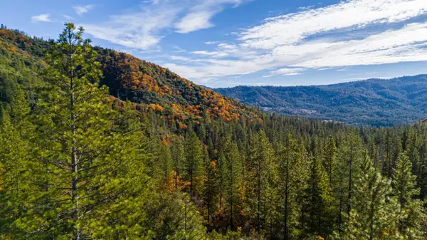 0 Forest Road Fs-2n07, Twain Harte, CA 95383