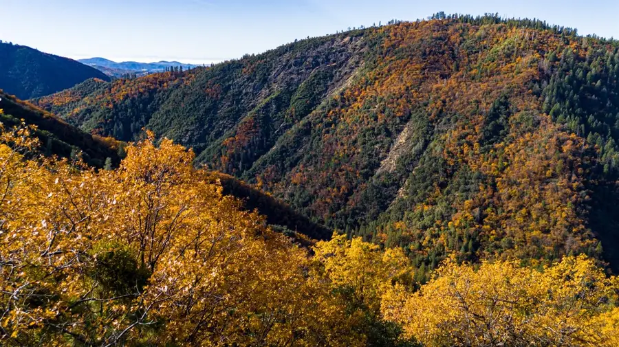 0 Forest Road Fs-2n07, Twain Harte, CA 95383 - #3