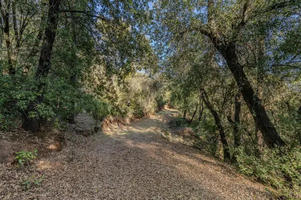 14238 Sutter Highlands Drive, Sutter Creek, CA 95685