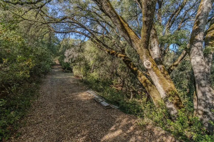 14238 Sutter Highlands Drive, Sutter Creek, CA 95685 - Image #2