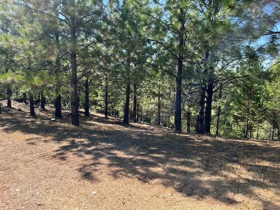 0 Sheep Ranch Road, Murphys, CA 95247 - Image #3