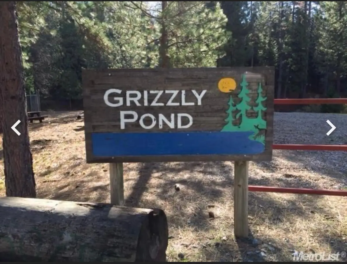 5055 Parkside Drive, Grizzly Flats, CA 95636 - Image #1