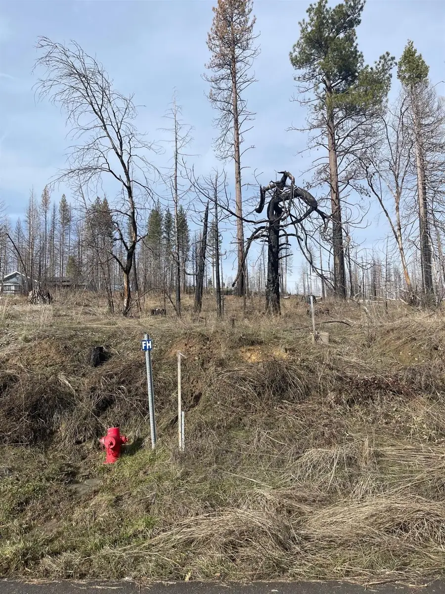 5055 Parkside Drive, Grizzly Flats, CA 95636 - Image #3