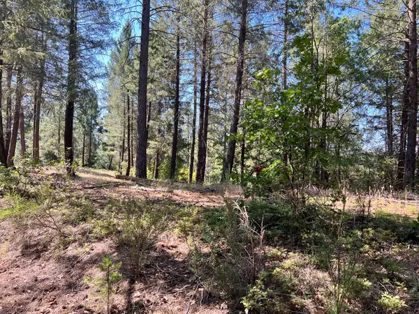 43 Bottle Hill Road, Georgetown, CA 95634