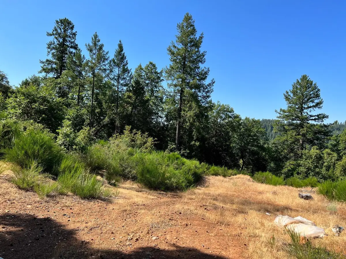 75 Bottle Hill Road, Georgetown, CA 95634 - Image #1