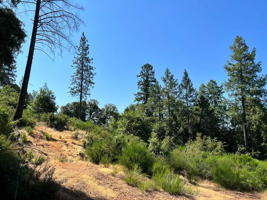 75 Bottle Hill Road, Georgetown, CA 95634 - Image #2