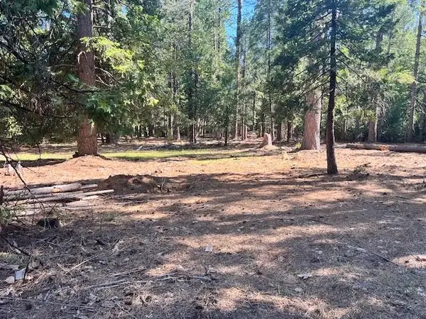 10434 Wentworth Springs Road, Georgetown, CA 95634