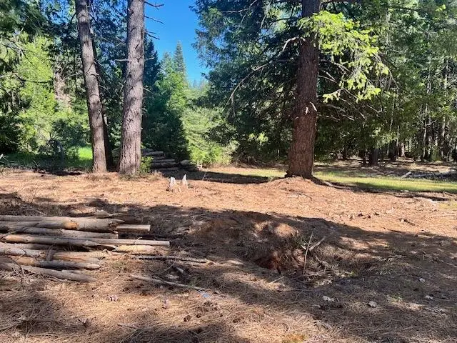 10434 Wentworth Springs Road, Georgetown, CA 95634 - Image #2