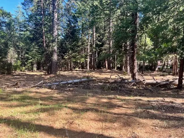 10434 Wentworth Springs Road, Georgetown, CA 95634 - Image #3