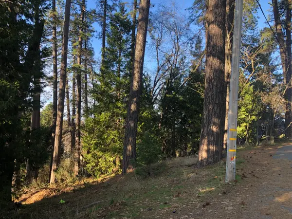 410 W Marshall Street, Grass Valley, CA 95945