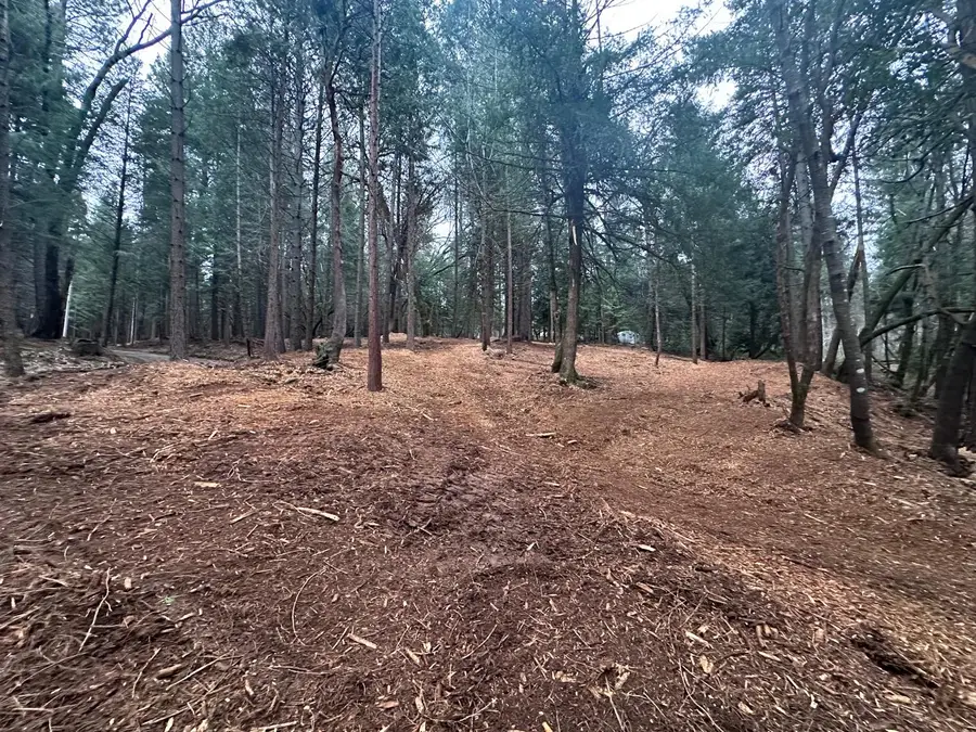 0 Oregon Trail Road, Georgetown, CA 95634 - Image #2