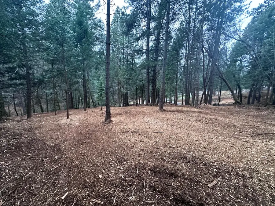 0 Oregon Trail Road, Georgetown, CA 95634 - Image #3