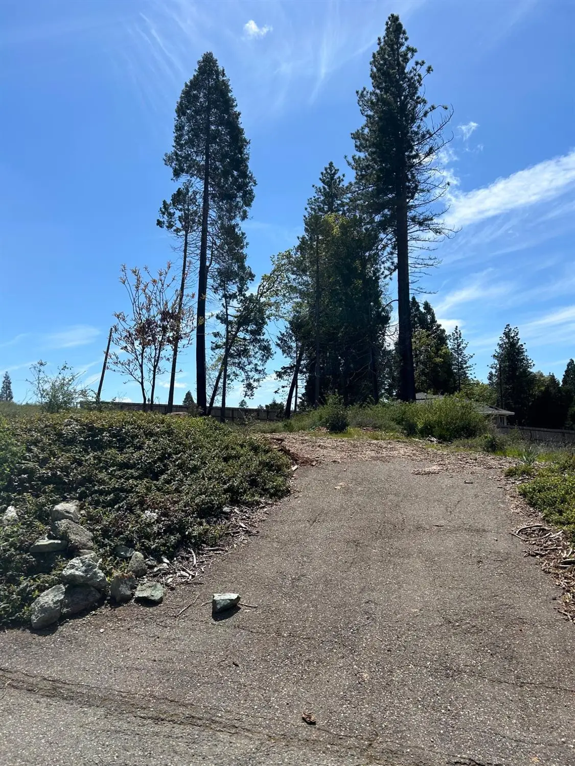 6206 Calvary Court, Magalia, CA 95954 - #1