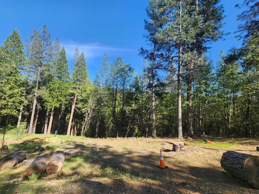 5508 Five Spot Road, Pollock Pines, CA 95726 - Image #2