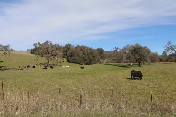 4272 Baldwin Court, Valley Springs, CA 95252