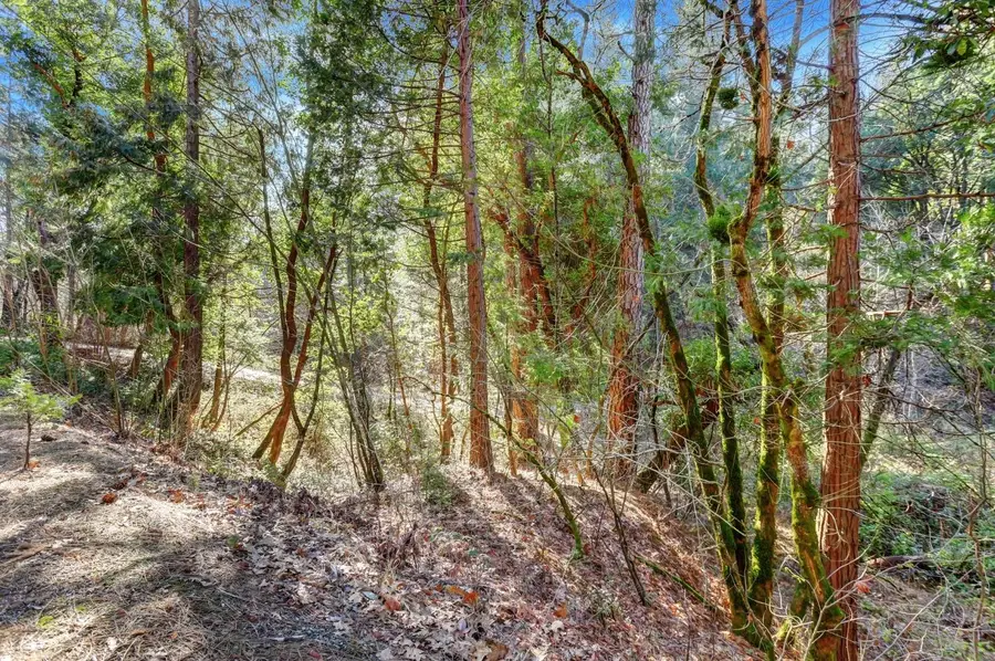 12195 E Bennett Road, Grass Valley, CA 95945 - Image #2