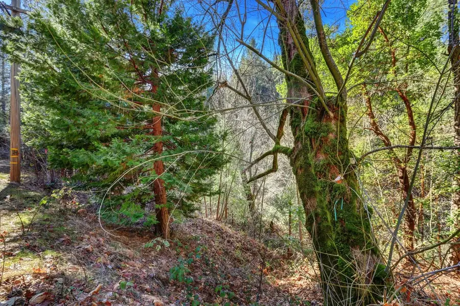 12195 E Bennett Road, Grass Valley, CA 95945 - Image #3