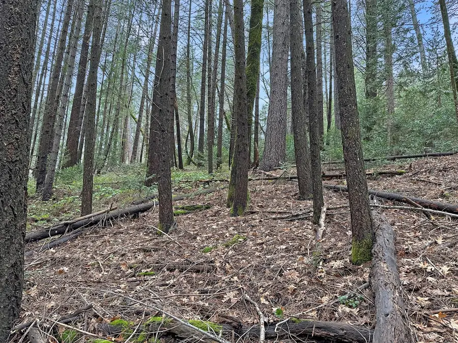 17871 Rollins View Drive, Grass Valley, CA 95945 - #2