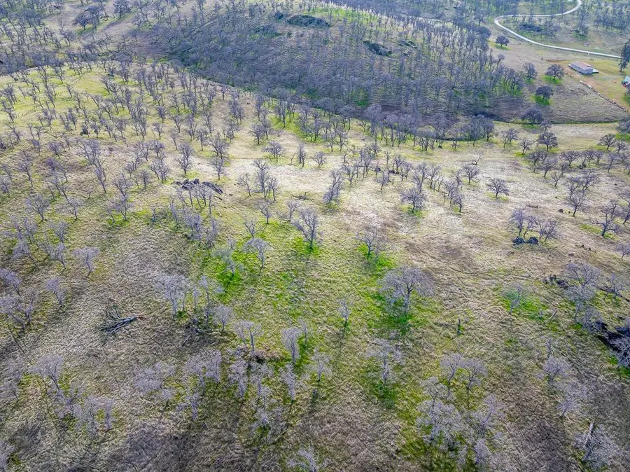 14 Los Nogales Road, La Grange, CA 95329 - Image #3