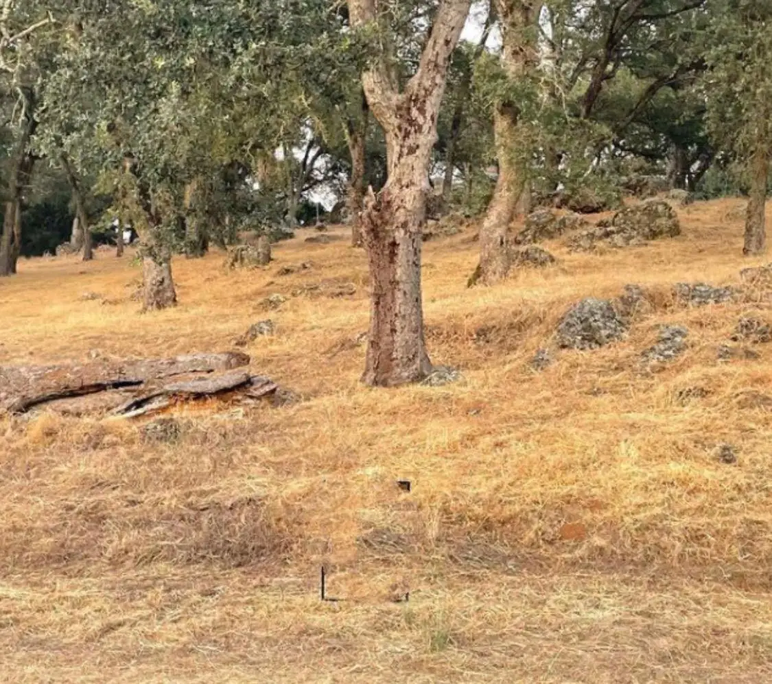 15249 De La Pena Circle, Rancho Murieta, CA 95683 - Image #1