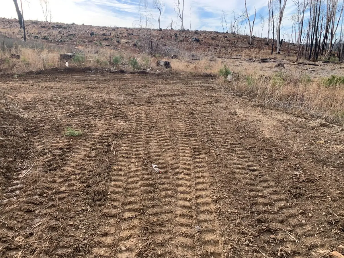 7396 Winding Way, Grizzly Flats, CA 95636 - Image #1