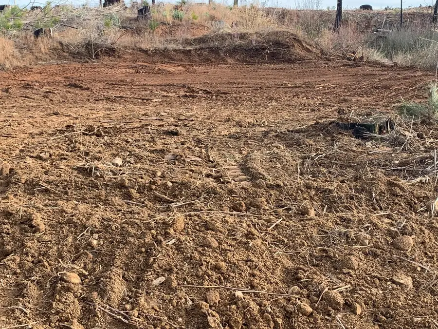 7396 Winding Way, Grizzly Flats, CA 95636 - Image #2