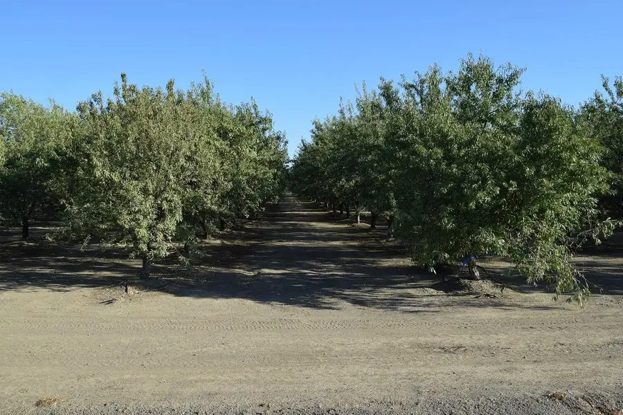 863 Wildwood, Arbuckle, CA 95912 - Image #3