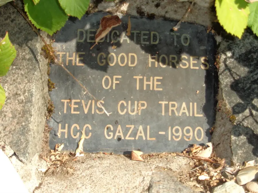 26270 Foresthill Road, Foresthill, CA 95631 - Image #3