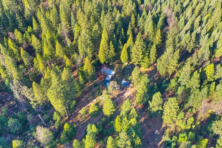 24825 Harrison Street, Foresthill, CA 95631 - Image #2