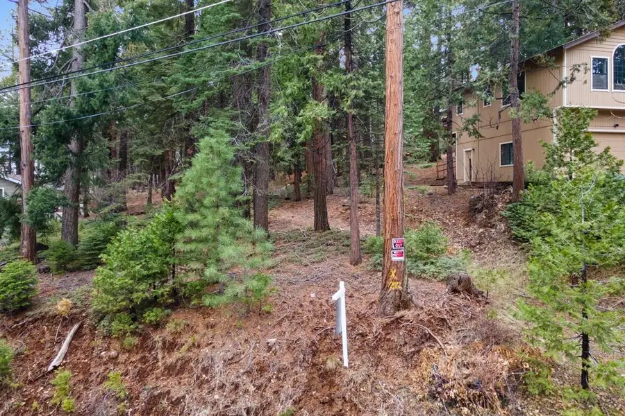 3988 Pearl Road, Pollock Pines, CA 95726 - Image #2
