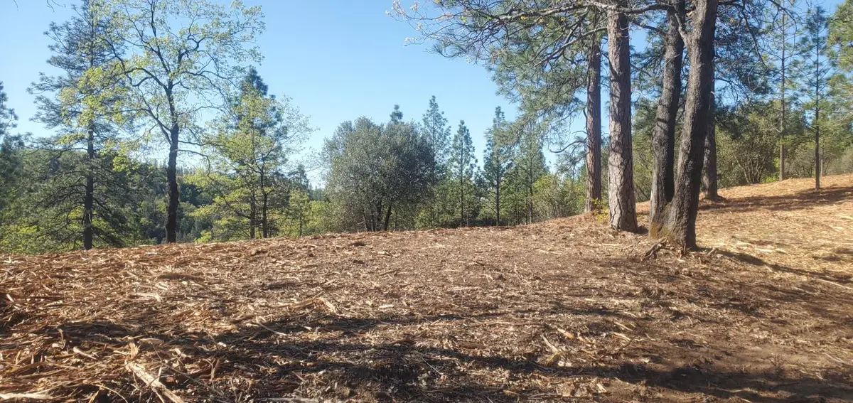 0 Big Oak Court, Placerville, CA 95667 - Image #1