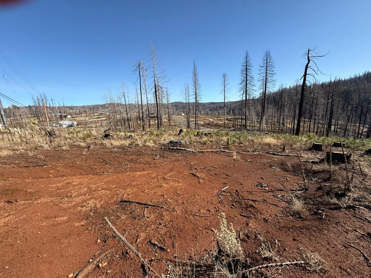 10130 Grizzly Flat Road, Grizzly Flats, CA 95636 - Image #1