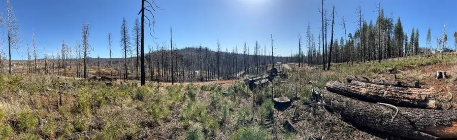 10130 Grizzly Flat Road, Grizzly Flats, CA 95636 - Image #2