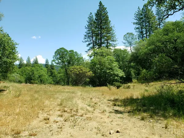 13903 Ingersoll Drive, Dobbins, CA 95935