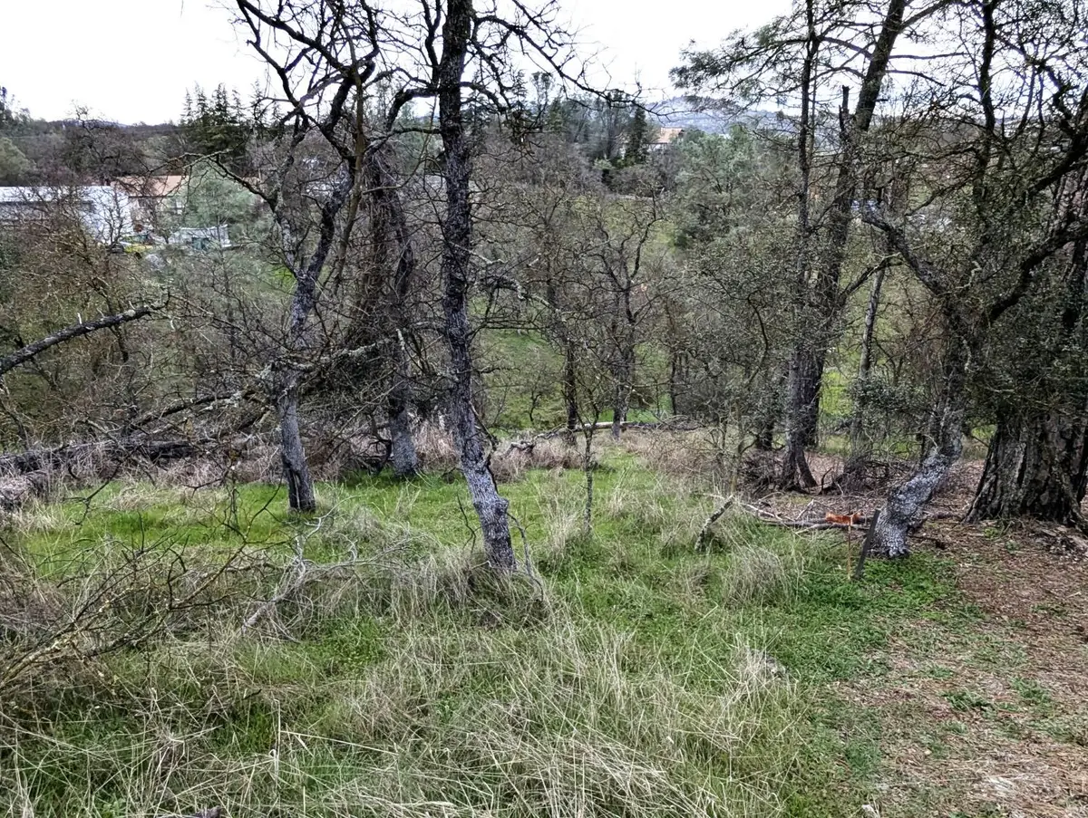 4569 Tomahawk Trail, Copperopolis, CA 95228 - Image #1