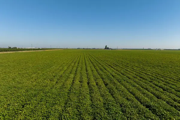 15490 Atwater Jordan Road, Livingston, CA 95334