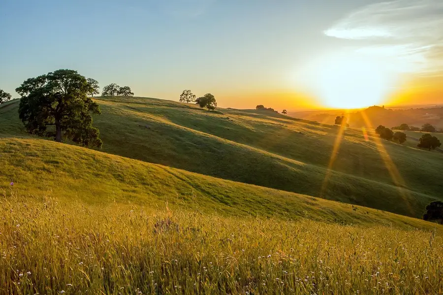 9840 New Chicago Road, Drytown, CA 95699 - Image #3